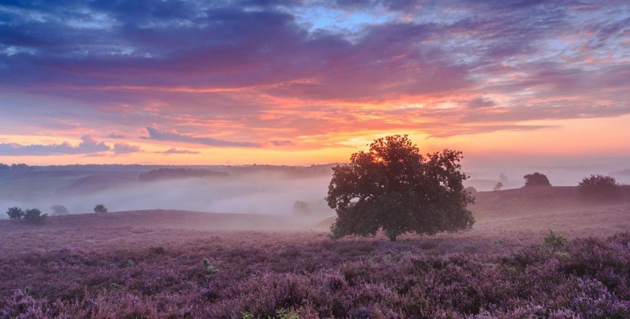פוטן Sfeervol Chalet Op De Veluwe מראה חיצוני תמונה